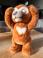 Sprekende beer van Hasbro, Ophalen, Zo goed als nieuw, Beer