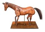 Modèle de dessin anatomique ancien en bois d'un cheval, Antiquités & Art, Art | Sculptures & Bois, Enlèvement ou Envoi