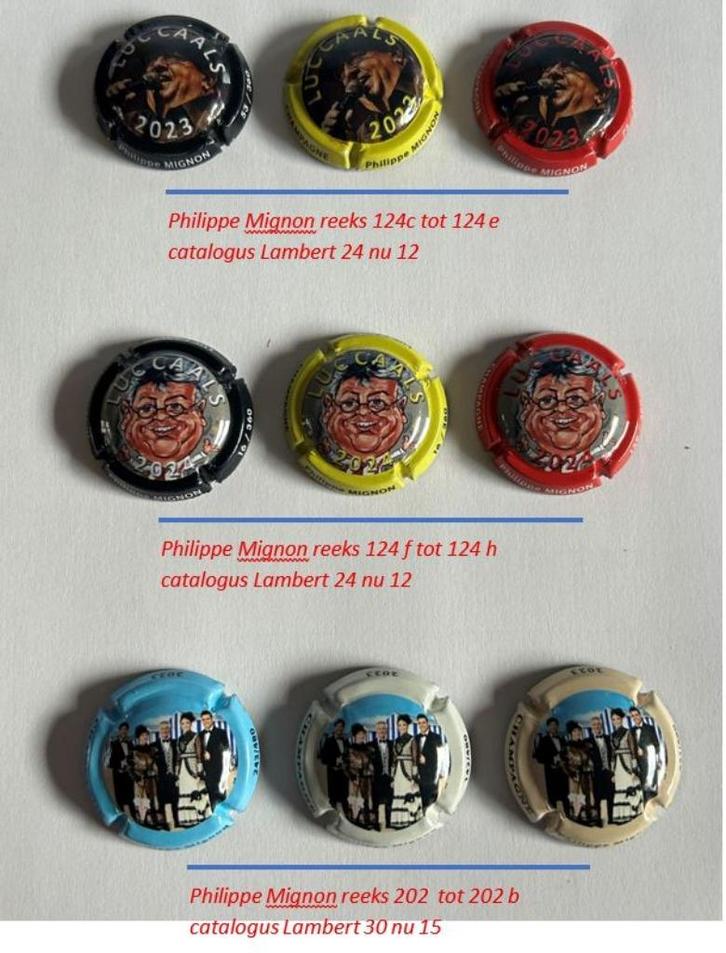 champagnecapsules, Verzamelen, Complete verzamelingen en Collecties, Ophalen of Verzenden
