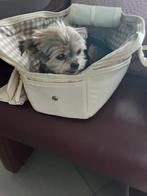 Draagtas voor kleine hond, Enlèvement, Comme neuf, Coton