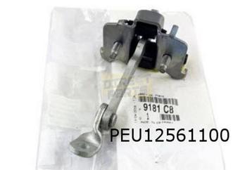 Peugeot 206 (9/98-9/12) (T3E) deurvanger Links/Rechts Origin beschikbaar voor biedingen