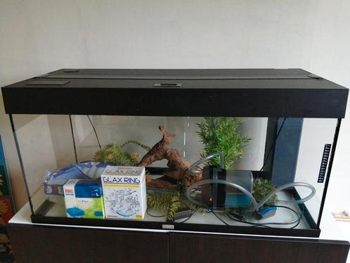 Aquarium Juwel Rio 180, Animaux & Accessoires, Poissons | Aquariums & Accessoires, Enlèvement