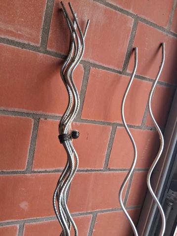 Klimstok tomaten beschikbaar voor biedingen