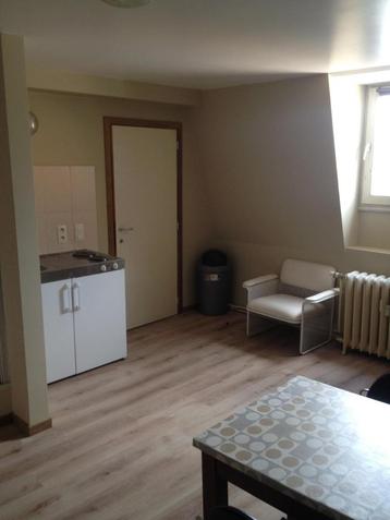 KOT Étudiant(e) en excellent état., 35 à 50 m², Liège (ville)