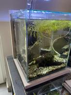 Aquarium zolux jalaya xl, Ophalen, Zo goed als nieuw