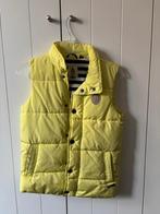Bodywarmer, Ophalen of Verzenden, Zo goed als nieuw, Gaastra