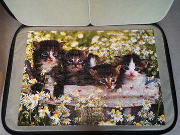 Puzzel 1000 Jumbo kittens