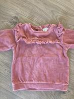 Roze trui Newbie 9-12 m maat 80, Gebruikt, Ophalen of Verzenden, Newbie, Truitje of Vestje
