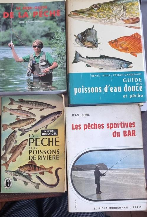 4 boeken over vissen, Watersport en Boten, Hengelsport | Vliegvissen, Ophalen of Verzenden