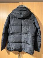 Peuterey winterjas voor heren, XL, Ophalen, Nieuw, Blauw