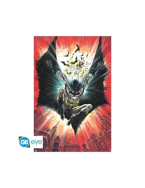 DC COMICS - Poster Maxi (91.5x61cm) - Batman - Warner 100th, Verzamelen, Posters, Nieuw, Film en Tv, Deurposter of groter, Vierkant