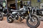 Scrambler 800 Nightshift **Motoverte**, Bedrijf, 800 cc