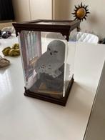 Hibou Harry potter, Collections, Harry Potter, Enlèvement ou Envoi