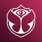 4 tickets Tomorrowland W1 Full Madness + Magnificent Greens, Drie personen of meer, Meerdaags