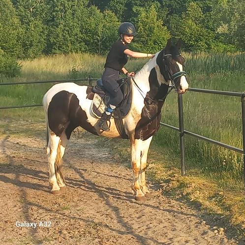 Enthousiaste bijrijder/stalhulp omgeving geel, Dieren en Toebehoren, Paarden