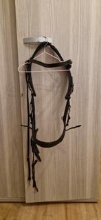 Hoofdstel Presteq, Dieren en Toebehoren, Ophalen of Verzenden, Zo goed als nieuw