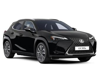 Lexus UX 300e TOP DEAL Privilege Line TOP STOCK DEAL