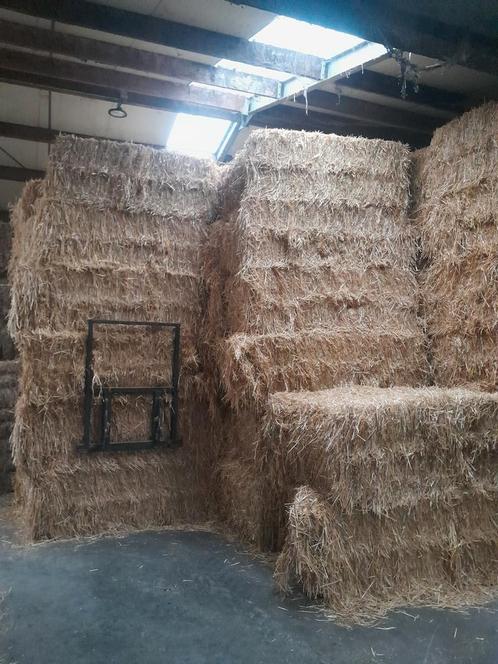 Stro mais balen voordroog hooi, Zakelijke goederen, Landbouw | Veevoer, Ophalen