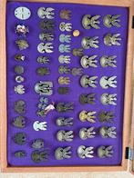 Poolse adelaars gezocht, Ophalen