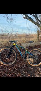 Mtb, Fietsen en Brommers, Fietsen | Mountainbikes en ATB, Gebruikt, Ophalen, Overige merken, Heren