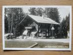 Postkaart Zwitserland Chalet Steinpilz Waldhaus Flims 4231, Ophalen of Verzenden