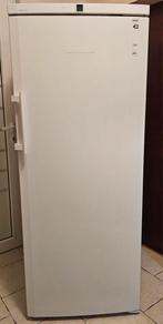 Liebherr diepvries A++ NoFrost 7lades L:175cm B:70cm, Elektronische apparatuur, 160 cm of meer, Zo goed als nieuw, Energieklasse A of zuiniger