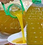 olijfolie bio 100%  2025 47€ voor 5L, Ophalen