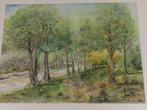 aquarel pad bomen, Ophalen