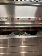 Fristeuse Perfecta professionnelle, Articles professionnels, Horeca | Équipement de cuisine, Enlèvement, Utilisé, Cuisinière, Friteuse et Grils