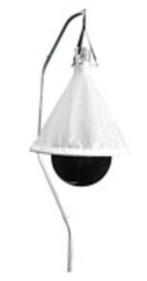 Dazenval / GRATIS LEVERING, Stalling