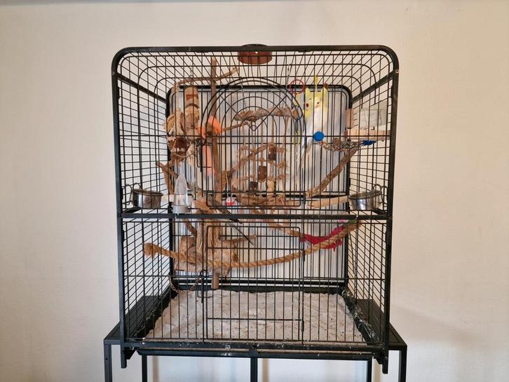 Twee Valkparkieten, met kooi, eten en veel accessoires, Dieren en Toebehoren, Vogels | Hokken en Kooien, Gebruikt, Vogelkooi, Metaal