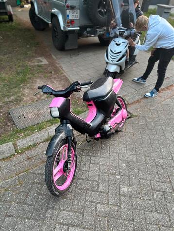 Honda wallaroo beschikbaar voor biedingen