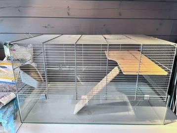 Hamsterkooi met Héél Veel Accessoires – Instapklaar!, Dieren en Toebehoren, Ophalen, Gebruikt, Kooi, Hamster