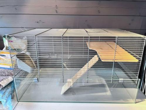 Hamsterkooi met Héél Veel Accessoires – Instapklaar!, Dieren en Toebehoren, Knaagdieren en Konijnen | Hokken en Kooien, Gebruikt
