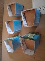 5x fresh heads Lidl, Lidl, Ophalen