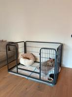 Hondenren/ bench, Ophalen, Zo goed als nieuw