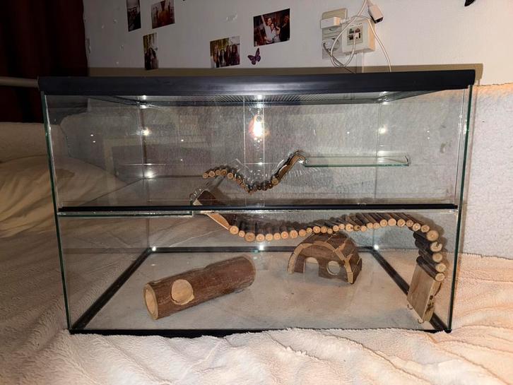 Hamsterkooi, Dieren en Toebehoren, Knaagdieren en Konijnen | Hokken en Kooien, Zo goed als nieuw, Kooi, Ophalen