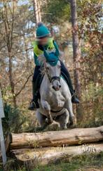 Allrounder D pony, Dieren en Toebehoren, Pony's, Ruin