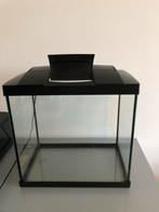 Aquarium superfish start tropical kit 25 liter, Dieren en Toebehoren, Ophalen, Zo goed als nieuw