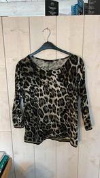 Tijgerprint blousje dames van Lola liza, maat 40, Kleding | Dames, Maat 38/40 (M), Overige kleuren, Ophalen of Verzenden, Lola & Lisa