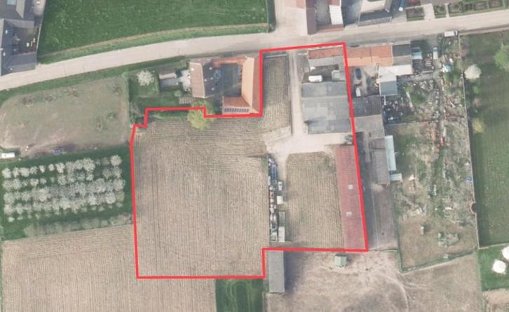Voormalige boerderij met loods en veestal te Heers, Immo, Huizen en Appartementen te koop, Provincie Limburg, 1500 m² of meer