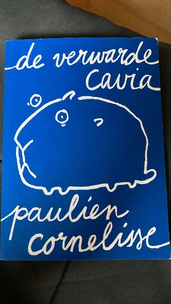 Paulien Cornelisse - De verwarde cavia, Boeken, Literatuur, Zo goed als nieuw, Ophalen of Verzenden