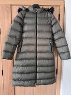 Winter jas groen mt L. Shein, Maat 42/44 (L), Nieuw, Ophalen of Verzenden, Groen
