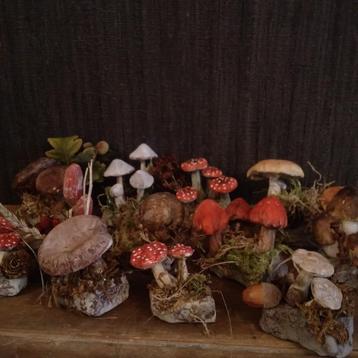 Prachtige set botanische paddenstoelen in papier-mâche  beschikbaar voor biedingen