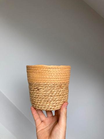 Plantenmandje beschikbaar voor biedingen