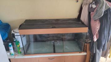 Aquarium 100€, Enlèvement, Utilisé, Aquarium vide