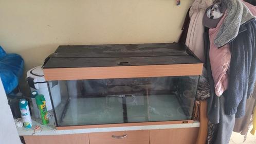 Aquarium, Dieren en Toebehoren, Vissen | Aquaria en Toebehoren, Gebruikt, Leeg aquarium, Ophalen