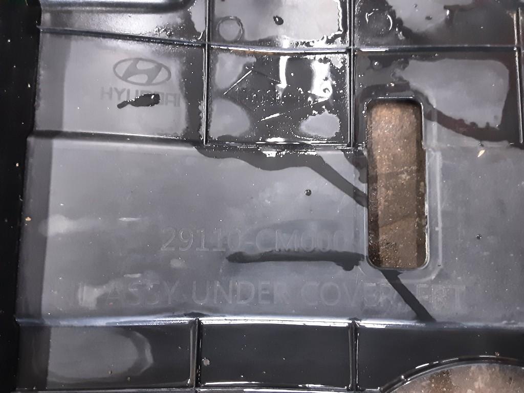 MOTORBESCHERMPLAAT Hyundai Kona (OS) (29110CM00), Gebruikt, Mevr. I. Hauben, Hyundai, Rue de l'Espoir 34 34
4030  GRIVEGNÉE, BE