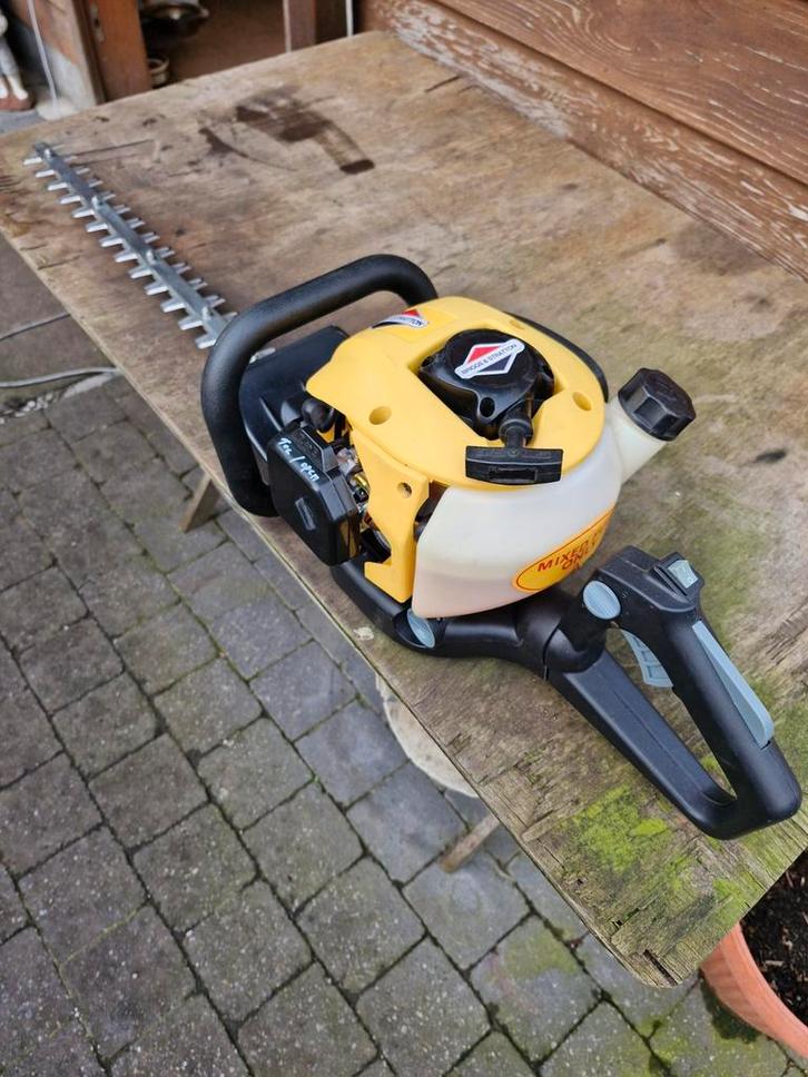 Si oui, haies B&S, 2 temps, Jardin & Terrasse, Taille-haies, Enlèvement