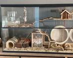 Terrarium 75x40x50  goede staat, Ophalen, Zo goed als nieuw, Hamster